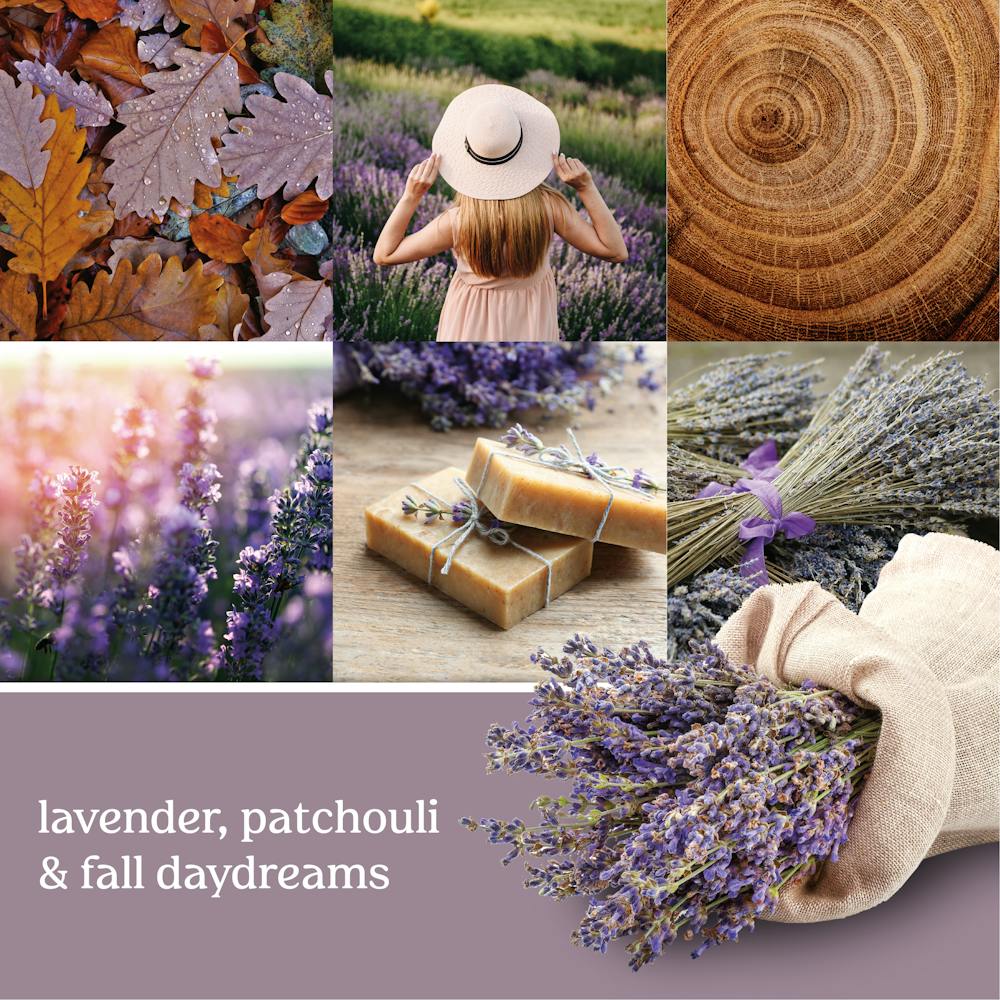Dried Lavender & Oak